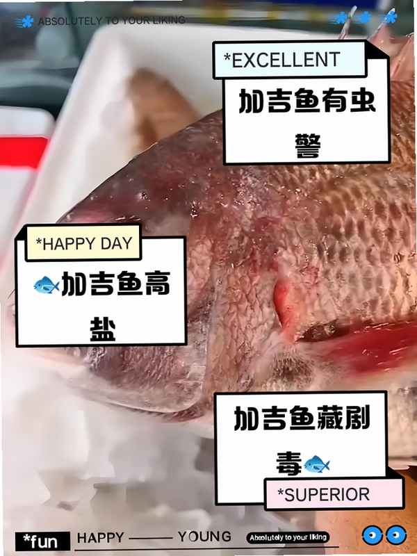 吉渔聚福常见问题解决办法
