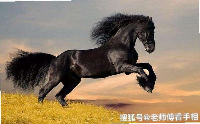 关键词必须包含 好马app官方下载最新版本,文字可概括整篇文章全部内容,用于搜索配图