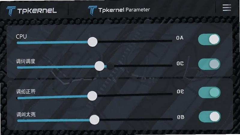 Tpkernel �������ڽ��棬�ֻ���Ļ��ʾ��������뿪�ؿؼ�����ע CPU ������Ƶ��ѡ�����Ϊ���ɫ�Ƽ�������������� Tpkernel ��ʶ