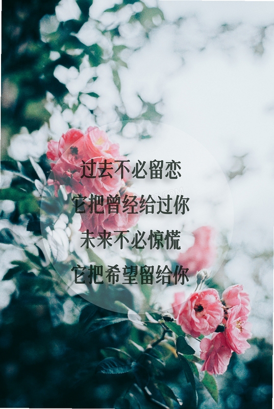 好心情 心情语录 分享