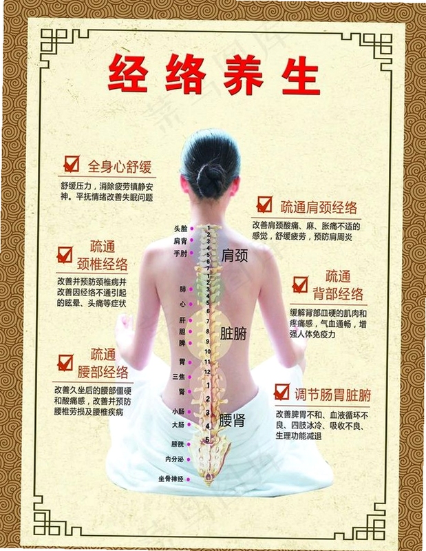 经络养生图片高清