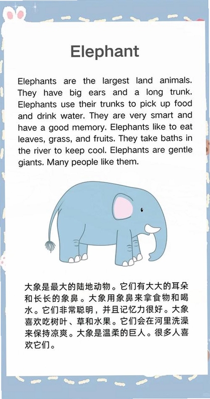 关键词必须包含 象鼻子ElephantNose,文字可概括整篇文章全部内容,用于搜索配图
