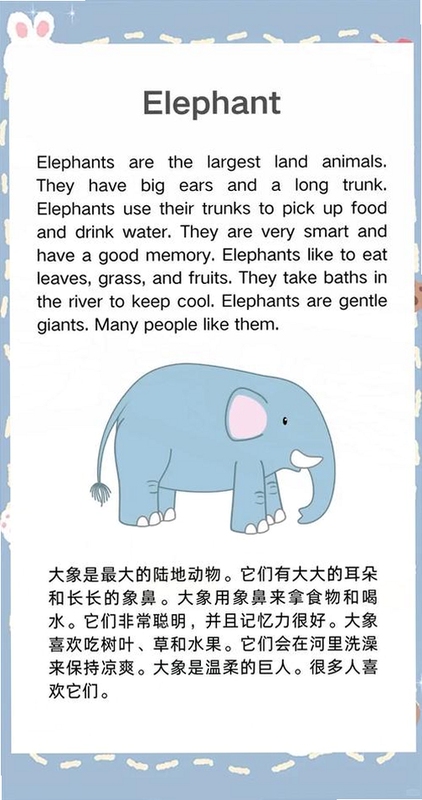关键词必须包含 {象鼻子ElephantNose},文字可概括整篇文章全部内容,用于搜索配图