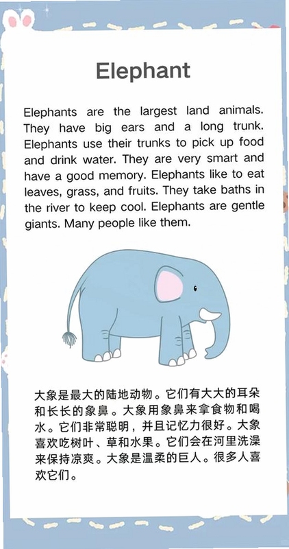 关键词必须包含 象鼻子ElephantNose,文字可概括整篇文章全部内容,用于搜索配图