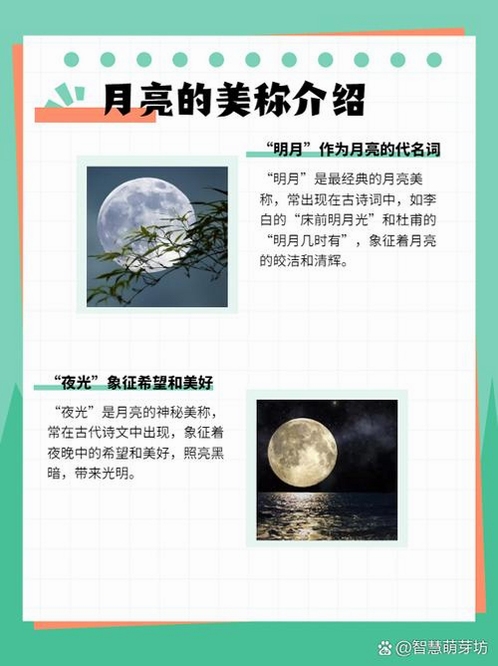 关键词必须包含 月圆之夜官网下载手机版,文字可概括整篇文章全部内容,用于搜索配图