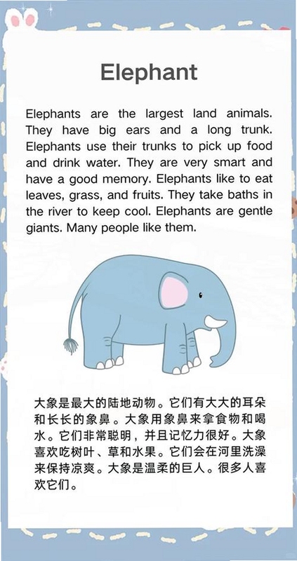 关键词必须包含 {象鼻子ElephantNose},文字可概括整篇文章全部内容,用于搜索配图