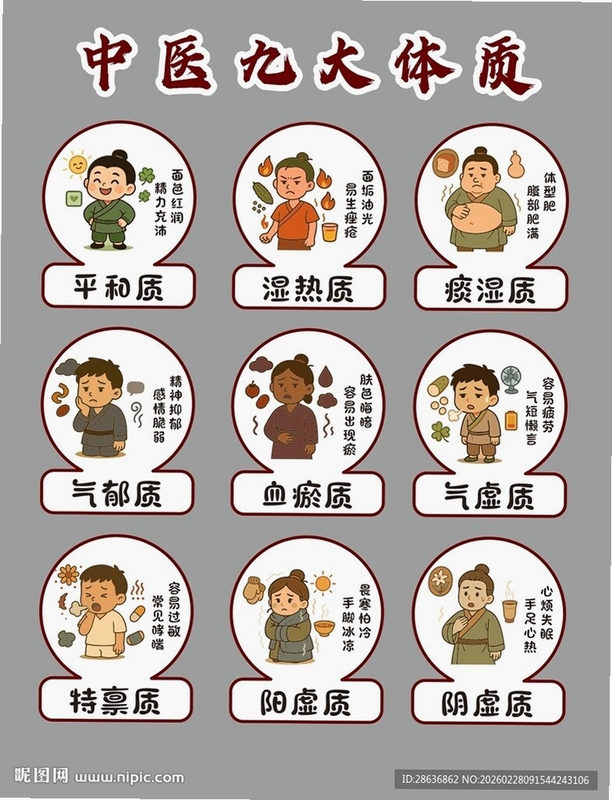 九质戒 体质分类 参考图