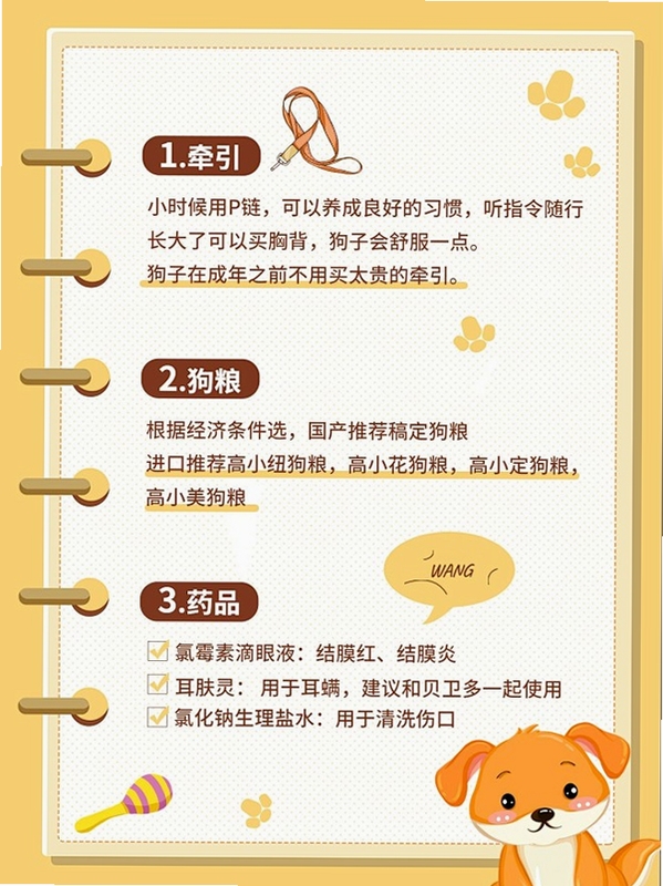 PetPandora�������� ����֪ʶ